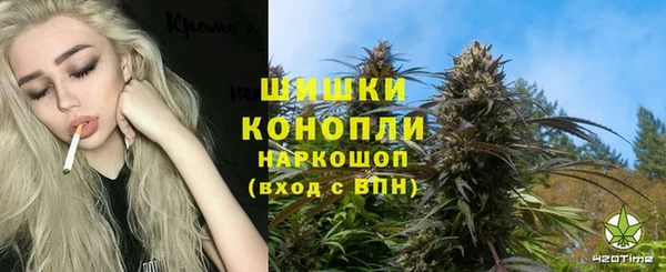 гидропоника Алзамай
