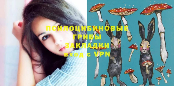гидропоника Алзамай
