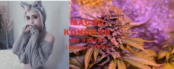 гидропоника Алзамай