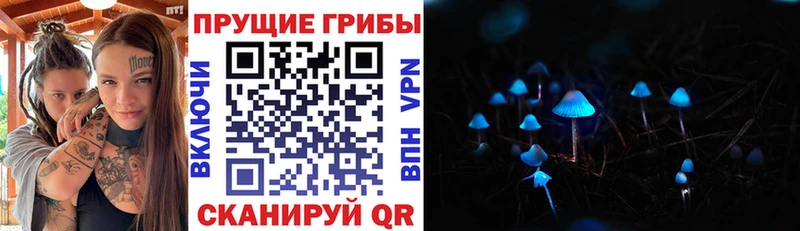 Псилоцибиновые грибы GOLDEN TEACHER  МЕГА как зайти  Наволоки  хочу наркоту 